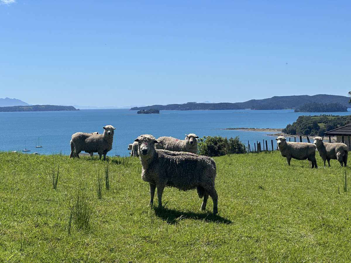 599 Mahurangi East Road_1