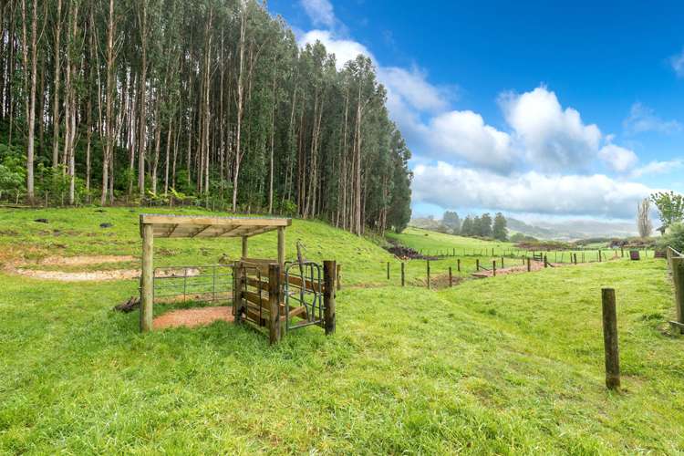 265c Hakarimata Road Ngaruawahia_26