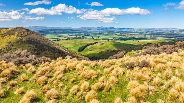 1157 The Peaks Road Hawarden_23