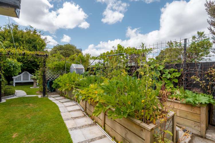 4e Totara Street Masterton_17