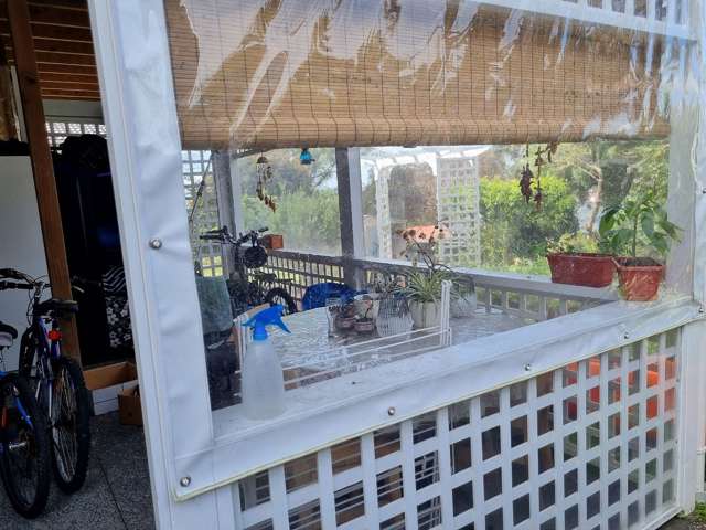 43B Triangle Road Massey_3