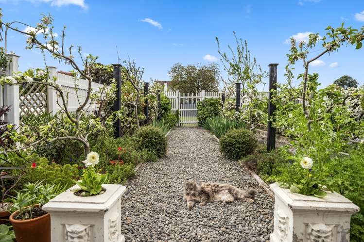 44 Robertson Street Glenholme_22