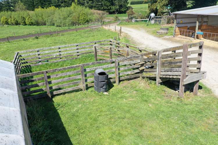 339 Mangaroa Road Eketahuna_24