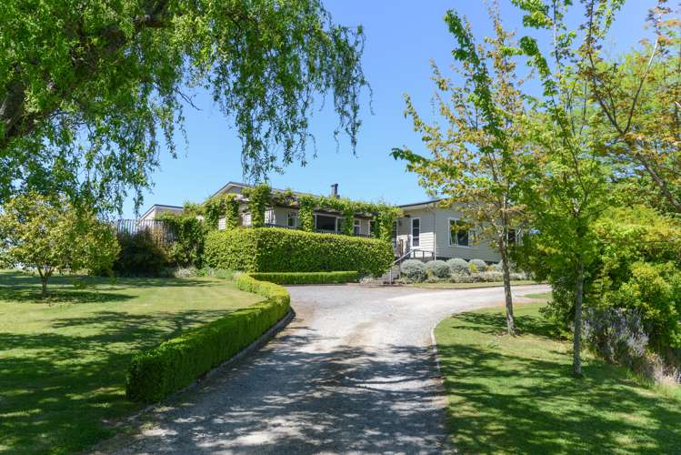 12 Petersen Place Waipukurau and Surrounds_0