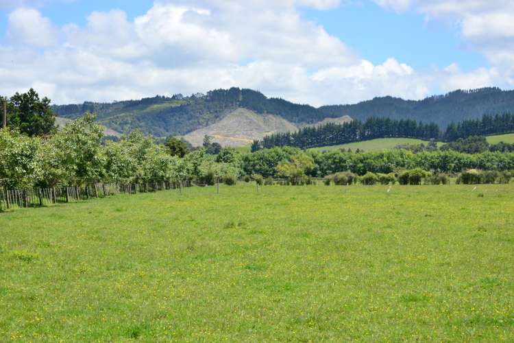 464 Woodcocks Road Warkworth_9