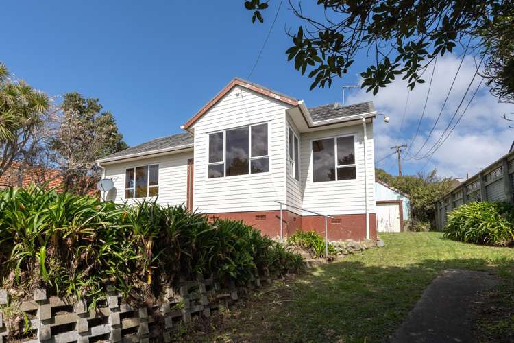 8 Hindmarsh Street Johnsonville_0