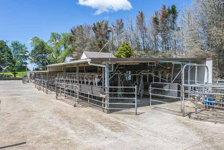 774 Buckland Road Matamata_9