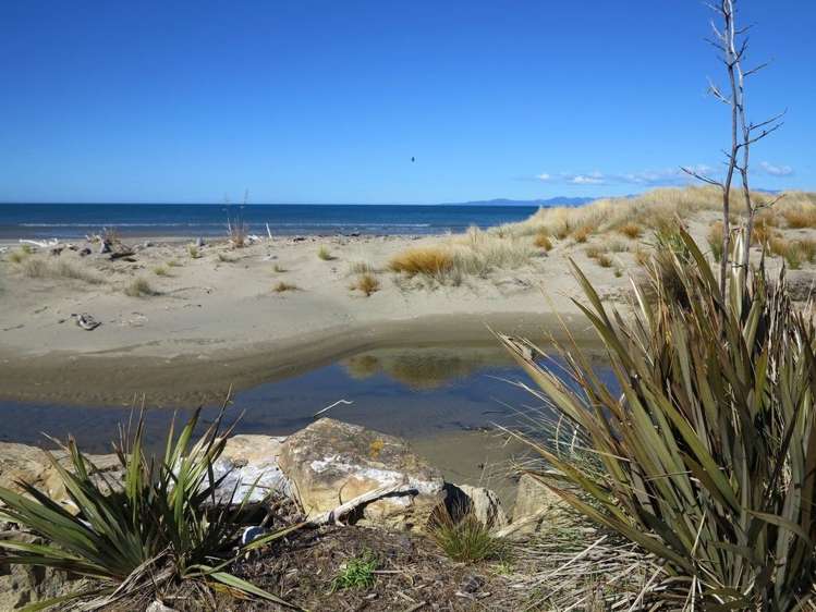 1174 Collingwood-Puponga Kahurangi National Park_18