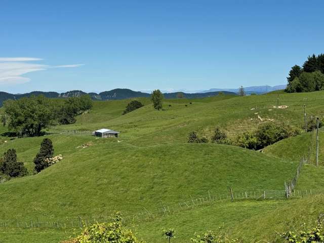 495ha of well watered, affordable breeding country