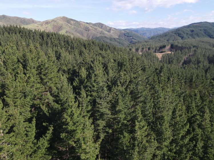 353 Pretoria Road Shannon_13