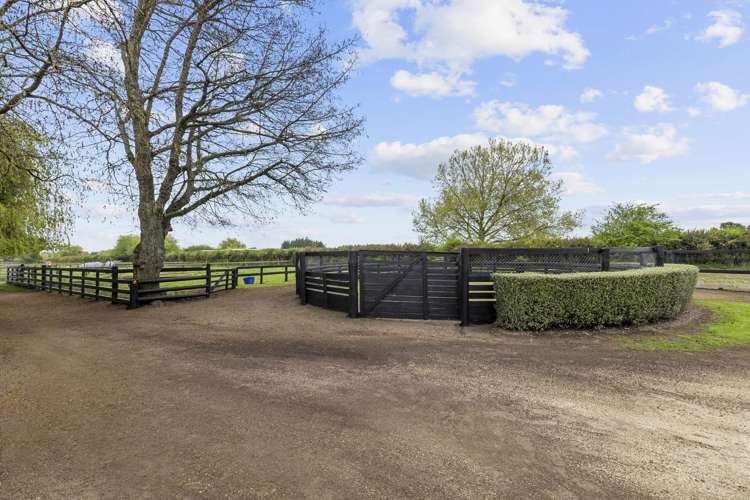 197 Peake Road Cambridge_12