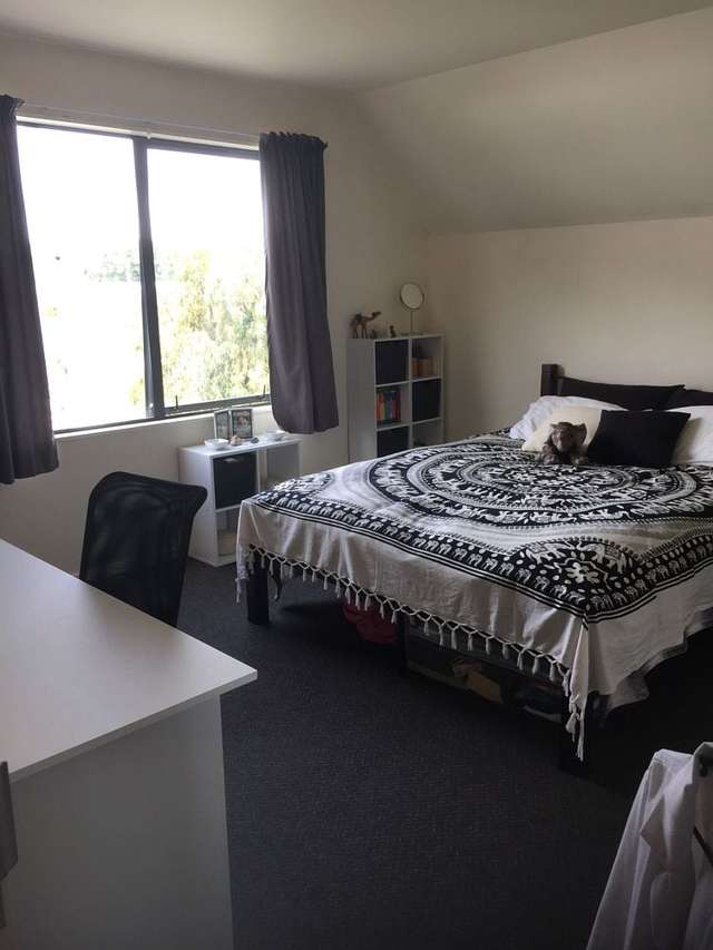 D/145 Dundas Street North Dunedin_4