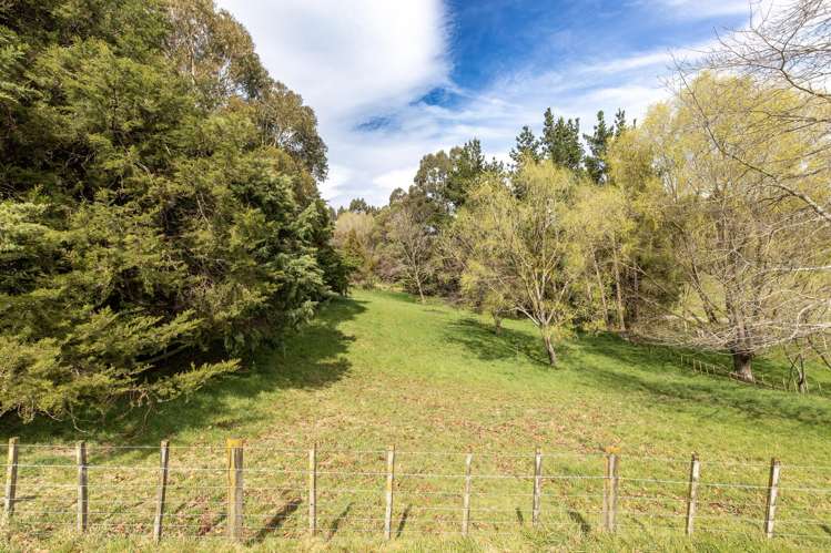 134B Tipapakuku Road Dannevirke_44
