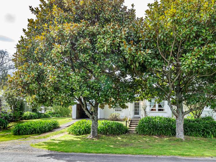 49 Honi Taipua Street Manakau_14