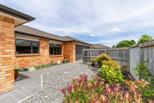 23a White Street Taradale_1