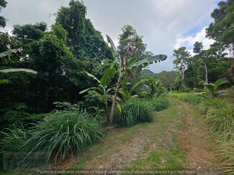 Address withheld Savusavu_17