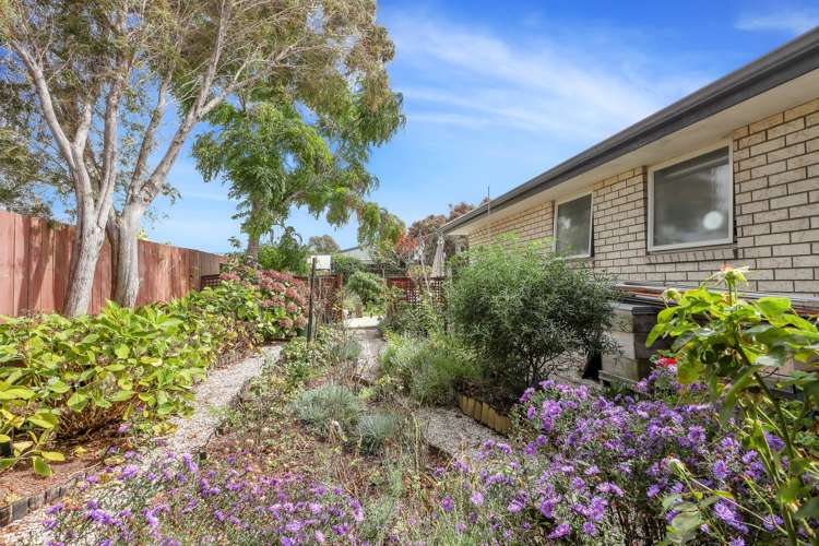 4 Herons Lane Mangawhai_17