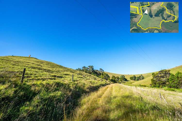 Telfer Road Parua Bay_34