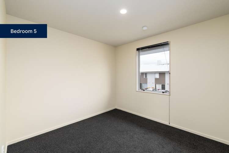 25/336 Lincoln Road Addington_9