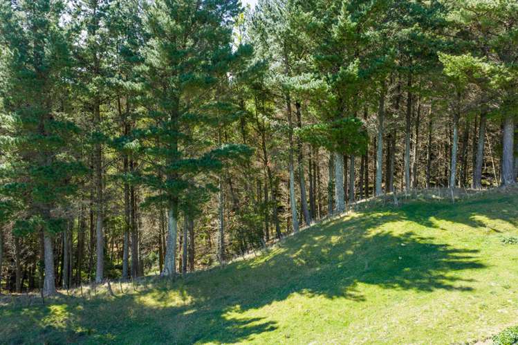 683 Bush Road Wallingford_23