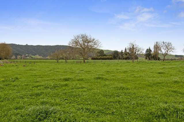 1/187 Parklands Road Rotoorangi_2