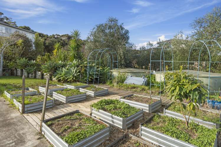 15 Matheson Road Red Beach_11