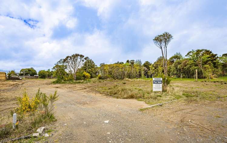 20 Waimarino Tokaanu Road National Park_0