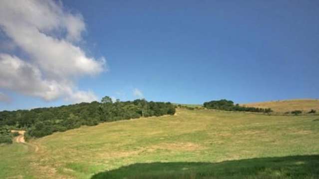 379b Cowes Bay Road Waiheke Island_4