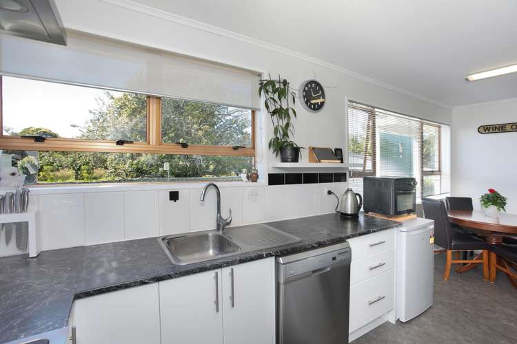 21 Flower Street Bulls_5