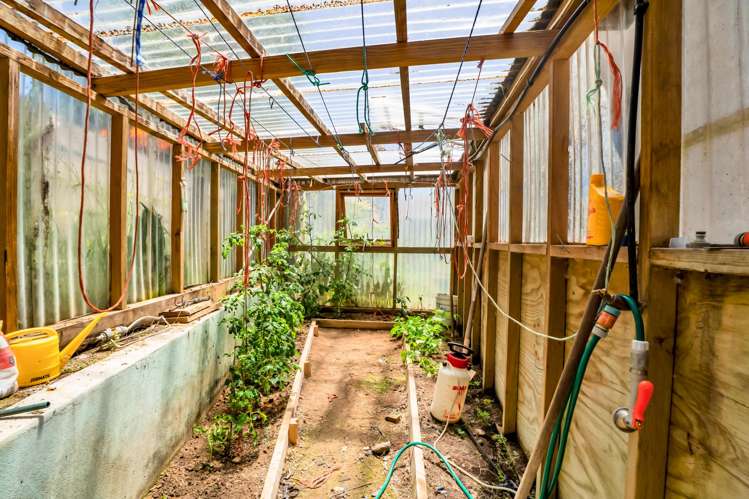 59 Rata Street Inglewood_22