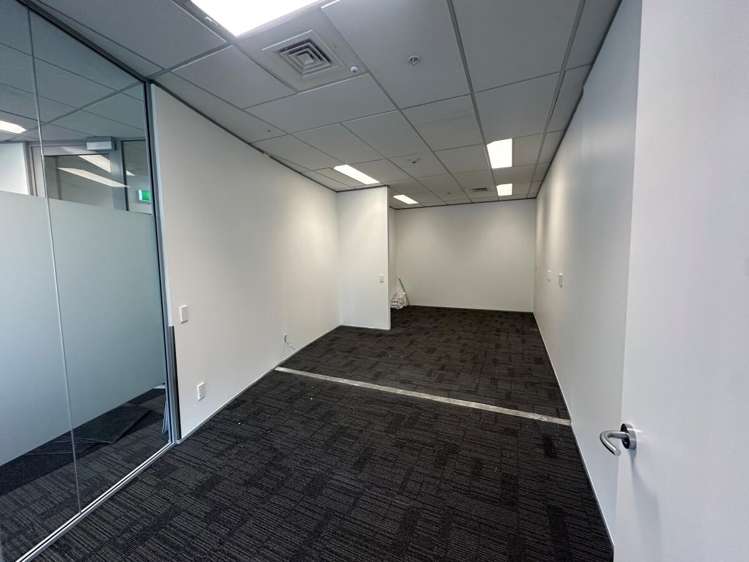 101 Carlton Gore Road Newmarket_5