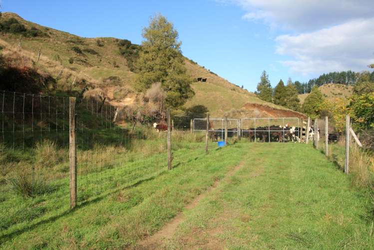 4869 Ohura Road Pohokura_23