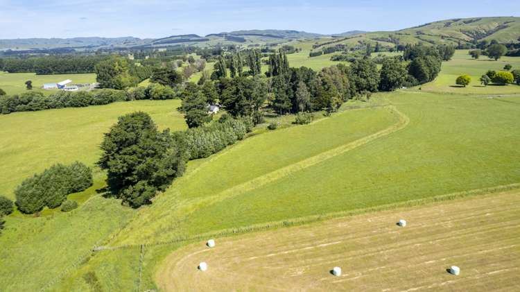 43 Taumata Island Road Carterton_13