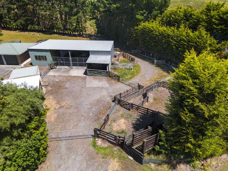 1797 State Highway 3 Awahuri_23