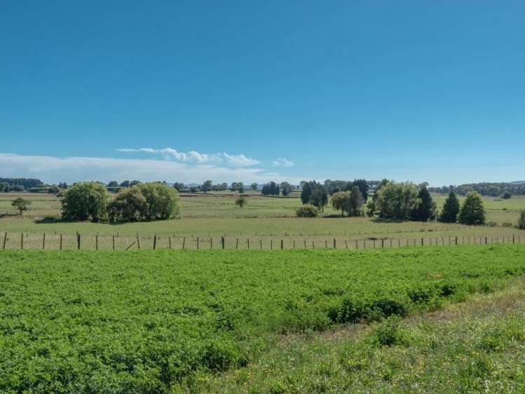 99 Highden Road Te Awamutu_16