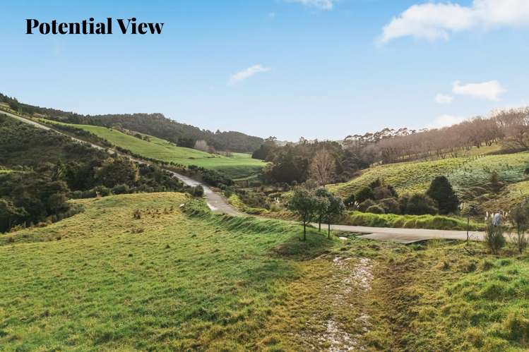 88 Waere Valley Lane_5