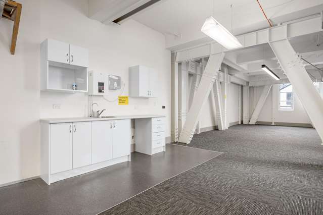 8 Kent Terrace Te Aro_3