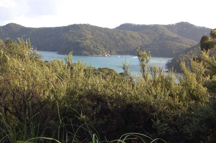 16 Harpoon Hill Great Barrier Island (Aotea Island)_4