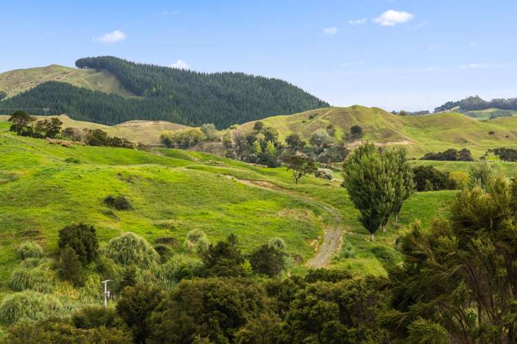 Lots 1-4 Proposed Subdivision, Goodwin Road Whataupoko_10