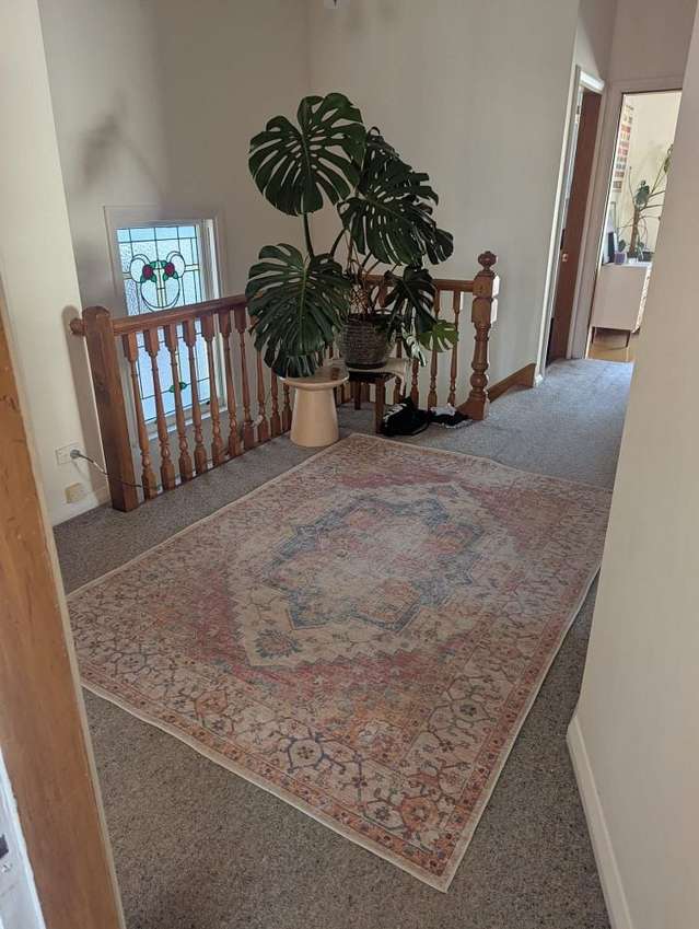 52 Majoribanks Street Mount Victoria_1
