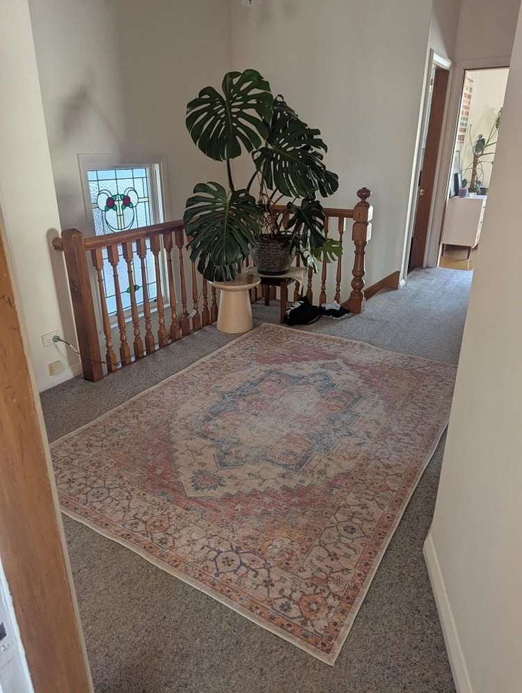 52 Majoribanks Street Mount Victoria_1