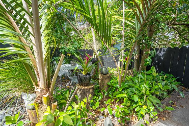 20c Howe Street Howick_29