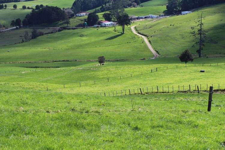 354 Tapuhi Road Hukerenui and Surrounds_2