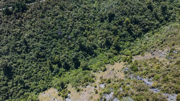 Lot 1 Rameka Creek Road Takaka_22
