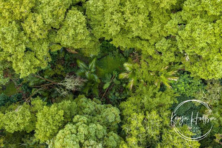 14 Woodland Road Maungaturoto_43