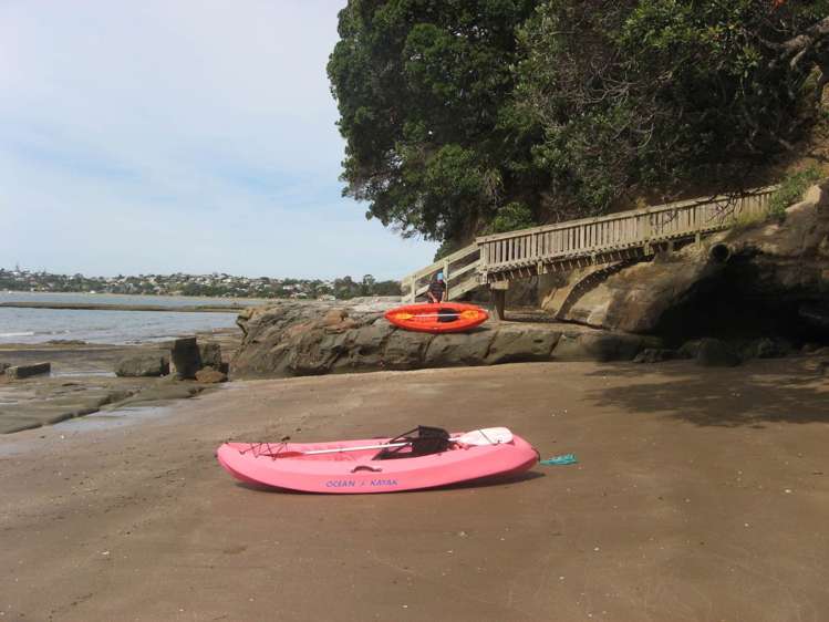 6b Hurdlow Place Manly_12