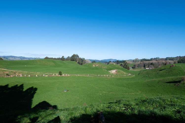 471 Poutakataka Road Ngakuru_23