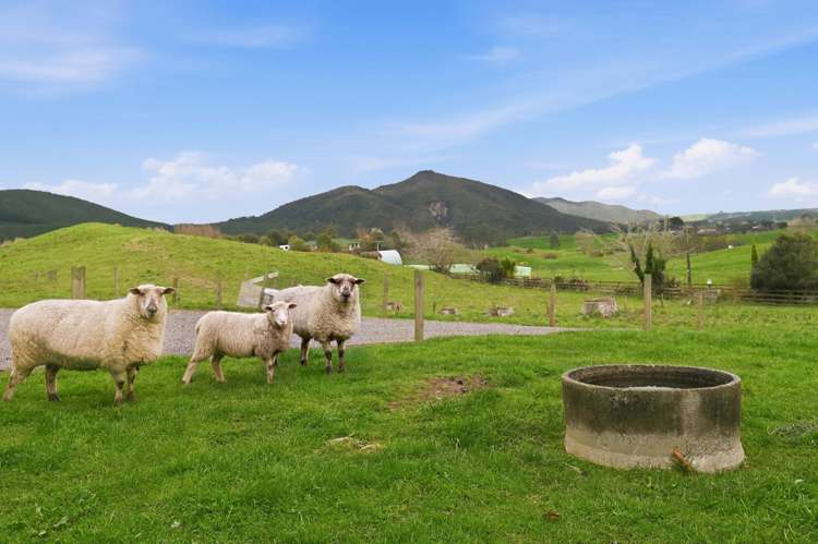 362A State Highway 38 Rerewhakaaitu_13