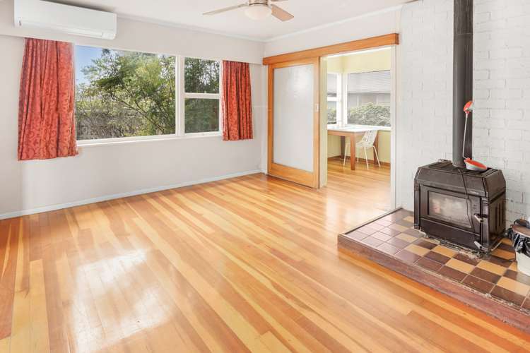 19 Patricia Avenue Hamilton East_6