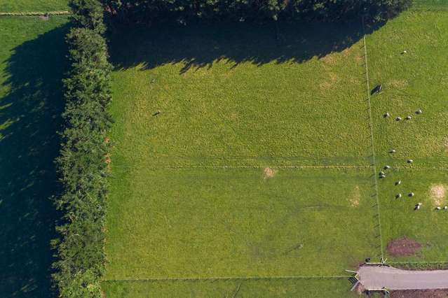 35 Laws Road Dannevirke_3